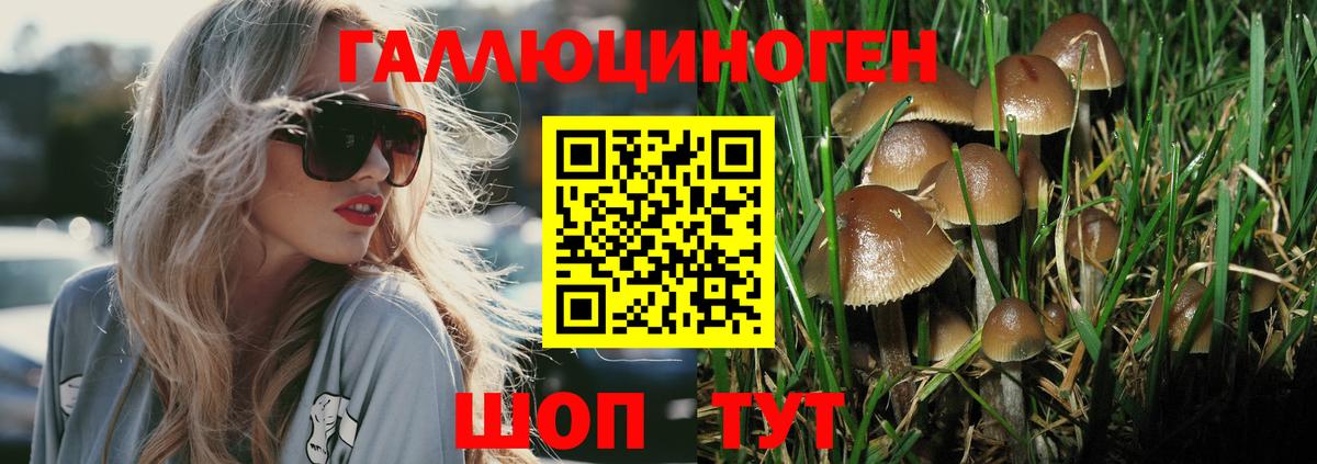 Псилоцибиновые грибы Psilocybine cubensis Люберцы