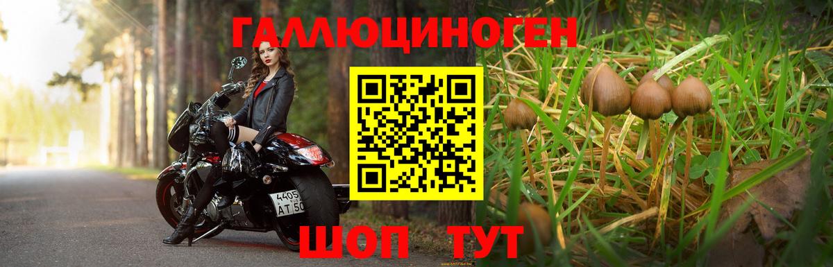 Псилоцибиновые грибы MAGIC MUSHROOMS  Вход с VPN  сколько стоит  Люберцы 